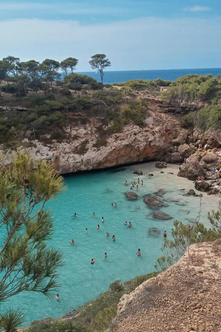 Trendy Apartment Palma de Mallorca Homestay